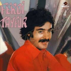 Ferdi Tayfur - Postacılar Plak