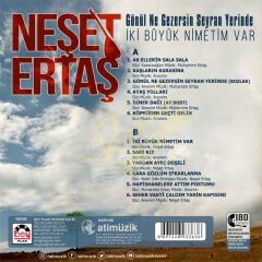 Neşet Ertaş - Gönül Ne Gezersin Seyran Yerinde/ İki Büyük Nimetim Var Plak