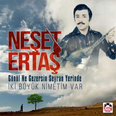 Neşet Ertaş - Gönül Ne Gezersin Seyran Yerinde/ İki Büyük Nimetim Var Plak